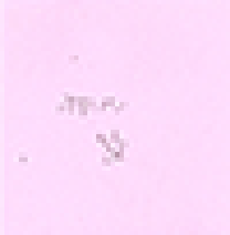 post-it Thumbnail